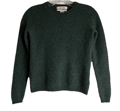 Suéter Ellen Tracy 100 % cachemir talla pequeña, té/verde Foto 1 de 4