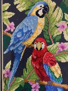 Schöne bunte Papageien Nadelspitze Stickerei Leinwand mattiert und gerahmt Vintage!! - Bild 1 von 5
