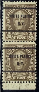 1929 .5c HALE w/Bureau precancel pair f/WHITE PLAINS NY (653-61) vertical! - Picture 1 of 1
