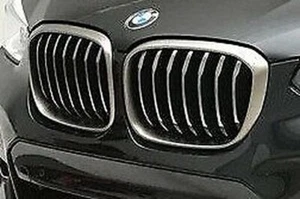 BMW OEM 2018+ G01 X3 2019+ G02 X4 M Sport Chrome Front Grille Pair Cerium Grey - Picture 1 of 4