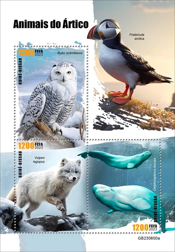 北极动物猫头鹰狐狸白鲸全新邮票 2023 年几内亚比绍 M/S — 第 1/1 张图片