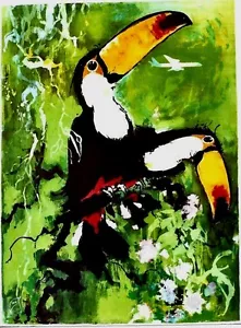Original vintage poster SOUTH AMERICA TOUCAN RAINFOREST c.1960 - Picture 1 of 1