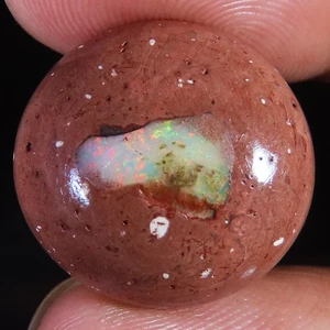 (17 X 18 X 07 MM ) 13.80 Carat. NATURAL FIRE OPAL OVAL CABOCHON LOOSE GEMSTONE - Picture 1 of 7