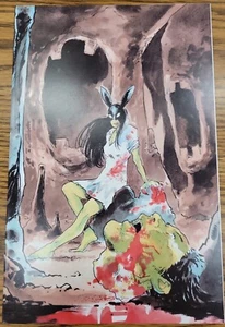 LTD/100 NM BUNNY MASK #1  VIRGIN VARIANT MUTTI GAME CHANGER EXCLUSIVE Comic book - Picture 1 of 10