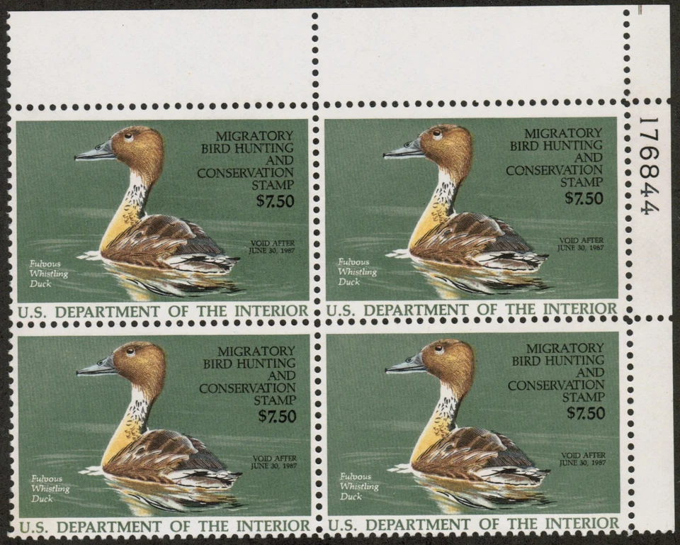 US USA Sc# RW53 MNH FVF PLATE# BLOCK  Fulvous Whistling Duck  - Image 1 of 1
