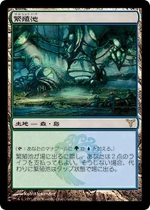 MTG Land Breeding Pool Dissension Japanese Edition Used - Picture 1 of 1