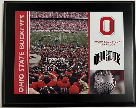 OHIO STATE BUCKEYES Stadium Photo Plaque By Fanatics Cover