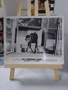 "The Doberman Gang" Original Movie Lobby Card 8x10in (1972) Authentic Vintage - Picture 1 of 1