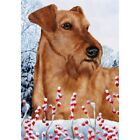 Winter House Flag - Irish Terrier 15220