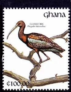 Ghana 1991 MNH, Water Birds, Glossy Ibis  - Picture 1 of 1