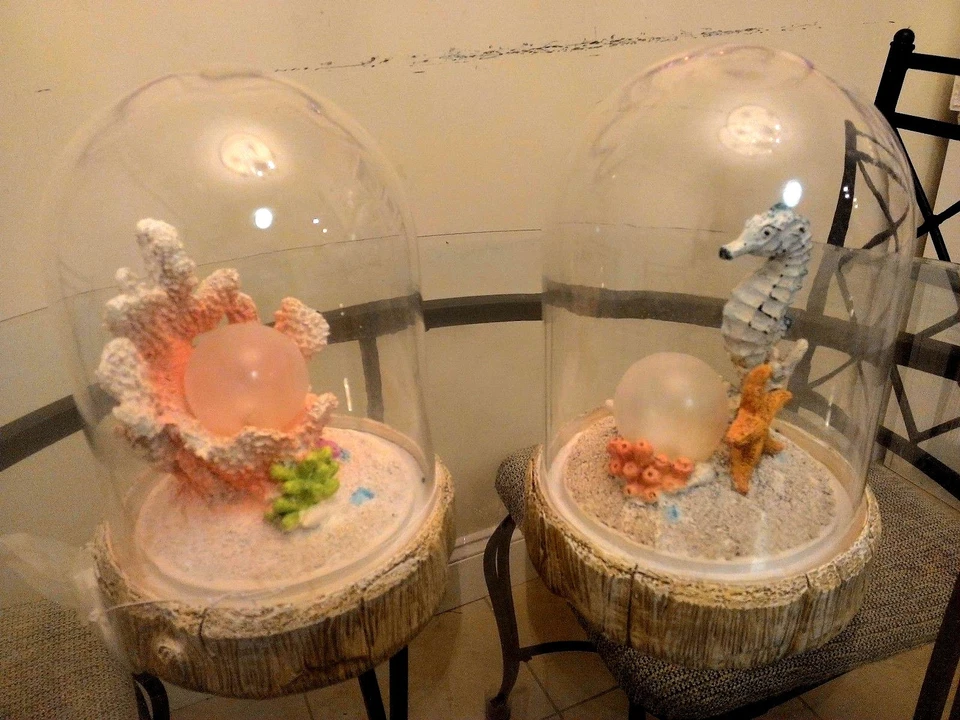 2 X NOVA Luz LED Solar Pearl Mood & Seahorse em Tampa de Vidro 8,5" A X 5,5" W - Imagem 1 de 4