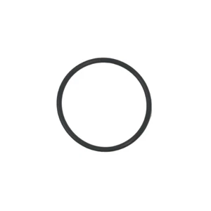 Intex 26335EH Replacement Titanium Electrode O-Ring Seal Gasket for Filter Pump - Picture 1 of 2