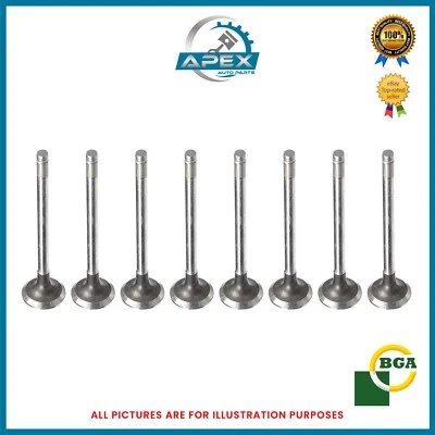 Ford Fiesta 1.25 16V Fuja Fujb Moteur Essence Échappement Valve - C20112121 - - Photo 1/4