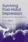 Surviving Post-Natal Depression: At Home, No One Hear... by Cara Aiken Paperback