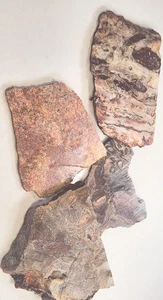 Big Horn Amethyst-Granite-Mushroom Jasper-Bouse Calcite- Cab Cutting Rough - Picture 1 of 13