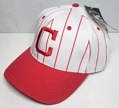 Pittsburgh Crawfords - Gorra con tirantes de la Liga Negra - Highmark SGA - Nueva con etiquetas Foto 1 de 4