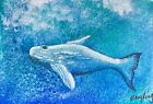 Watercolor ACEO Original Painting by Mary King - Whale