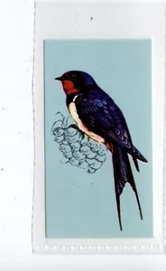 (Jd4195) Tetley, British Birds, Swallow, 1970, #13 - Bild 1 von 2