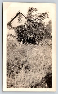Fliederbüsche Familienfoto Bild Fotografie Geschichte - Bild 1 von 2