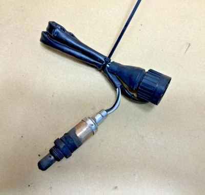 Sonda lambda BMW R1100RS (259) Foto 1 de 3