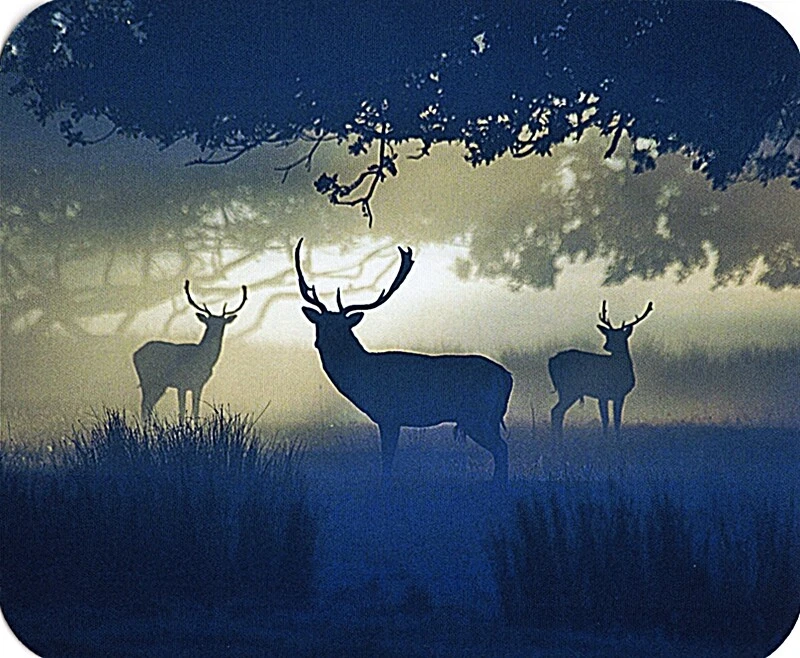 "Big Buck" Deer Computer / Laptop Mouse Pad - Image 1 of 1
