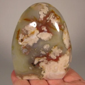 3.3" FLOWER AGATE Gemstone Polished Freeform Standup - Madagascar - Imagen 1 de 11