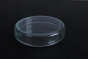 kleine Petrischale aus Glas ca. 60 x 17 (52 x 15 mm) mm gebraucht, sehr gut - Bild 1 von 3