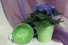 2 Blumentöpfe Blumentopf Übertopf Pflanzeimer mit Griffen Metall Dekoration grün