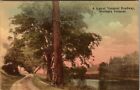 Vintage Postcard A Typical Vermont Roadway Northern Vermont Posted 1913