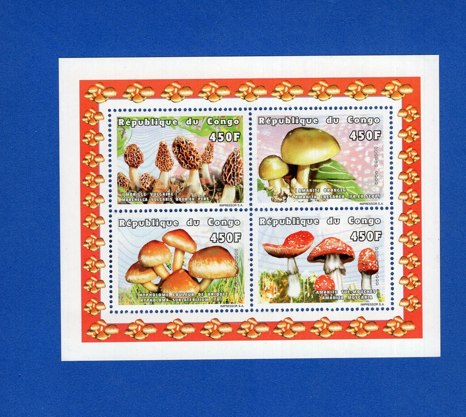 MUSHROOMS - CONGO, COMPLETE SET, MNH - Image 1 of 1