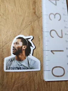 🏀DERRICK ROSE Sticker Memphis Grizzlies Sticker Memphis Grizzlies Decal NBA - Picture 1 of 1