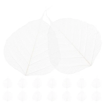  20 Pcs Segnalibri Particolari Composizione Fiori Secchi Materiali Fai Da - Immagine 1 di 4