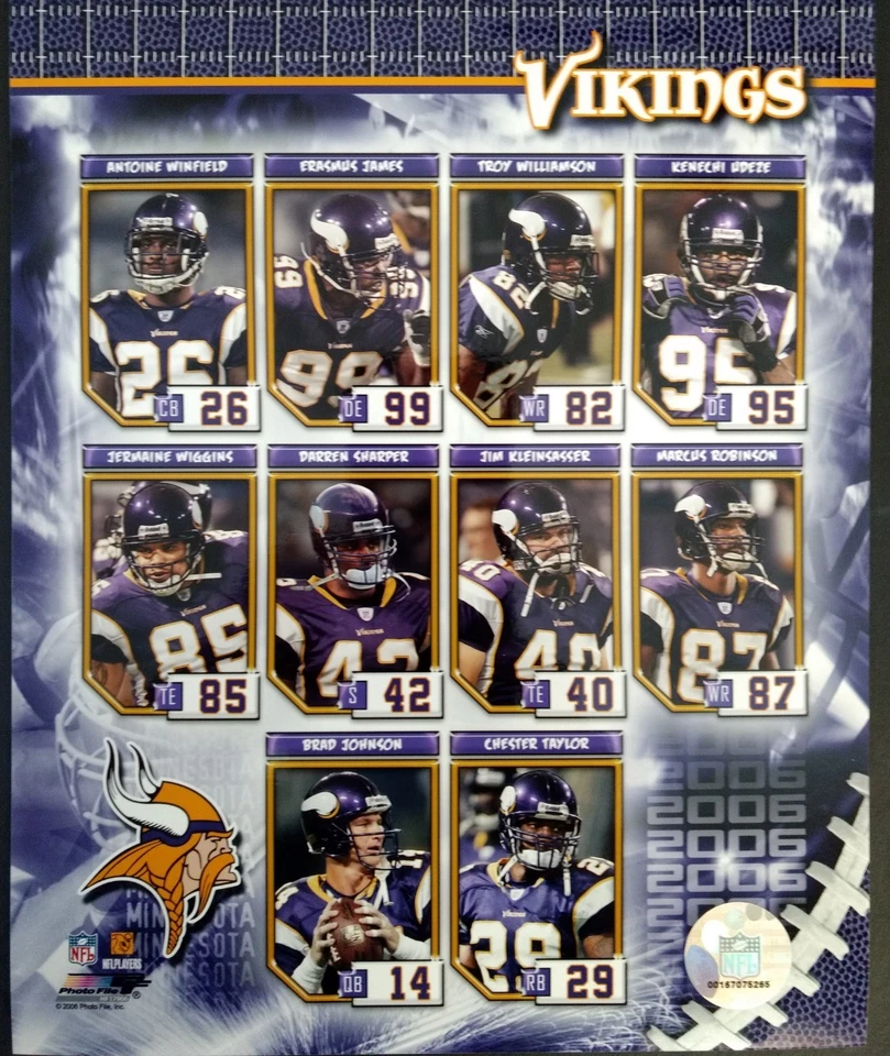 Foto compuesta 8x10 del equipo Minnesota Vikings 2006 Foto 1 de 1