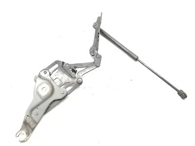 Bisagra capó delantero izquierdo bmw x5 e70 3.0 d 7148347 3.00 diésel 173kw 2008 13958889 Foto 1 de 3