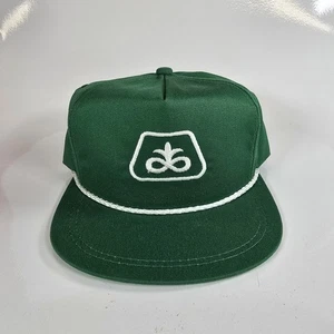 Vintage Pioneer Seed Snapback Hat Pioneer Seed Green K-Products Made In The USA - Picture 1 of 9