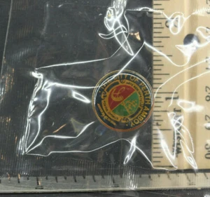 "The City of Perth Amboy" City Seal Pin Button - Used B379 - Bild 1 von 2