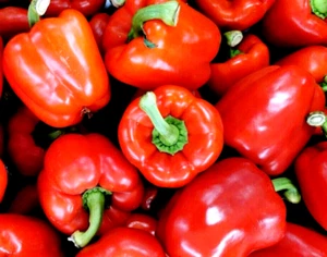 HEIRLOOM RED CAPSICUM SEEDS,20 SEEDS-HAVE YOUR OWN VEGETABLES,GARDEN SPICE HERBS - Picture 1 of 5