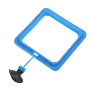 Fish Feeding Aquarium Floating Food Feeder Suspensible Circles Suction Cups - Picture 1 of 8