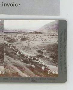 Sheep Ranch Idaho ID Keystone Stereoview - Imagen 1 de 2