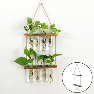Tiered With Wooden Stand Home Decor Retro Test Tube Planter Wall Hanging