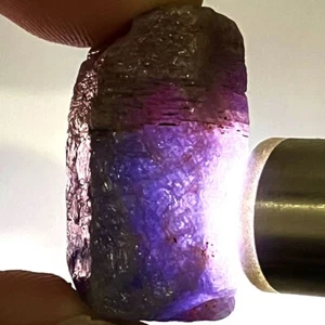 58.68 Ct - Natural 100% Very Good Rough Bi-Color Blue Purple Sapphire Madagascar - Picture 1 of 5