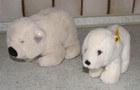 2x STEIFFTIER EISBÄR BÄR in weiss davon 1x 5405/17 COSY ISSY mit KF von STEIFF