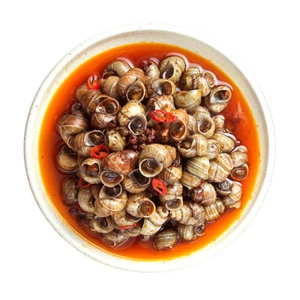 500g Spicy Snail Meat - Ready-to-Eat Chinese Street Food - Nostalgia Snack - Picture 1 of 15