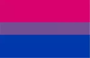 Bisexual Flag Metal Refrigerator Magnet Gay Pride Lesbian LGBTQ - Picture 1 of 1