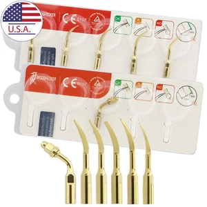 Woodpecker Piezo Scaler Tips Kit EMS Golden G1T G2T G4T P1T E1T Assorted Tip - Picture 1 of 8
