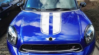 Viper-Streifen Adesivo Decalcomania Strisce Per Mini Cooper Countryman R60 Works - Immagine 1 di 3