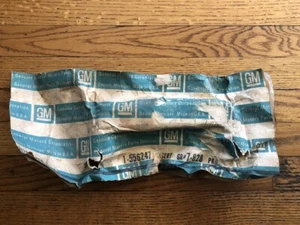 NOS GM 1977-1978-1979 Oldsmobile Ninety-Eight 98 88 Front Bumper Guard Rub Strip - Picture 1 of 3