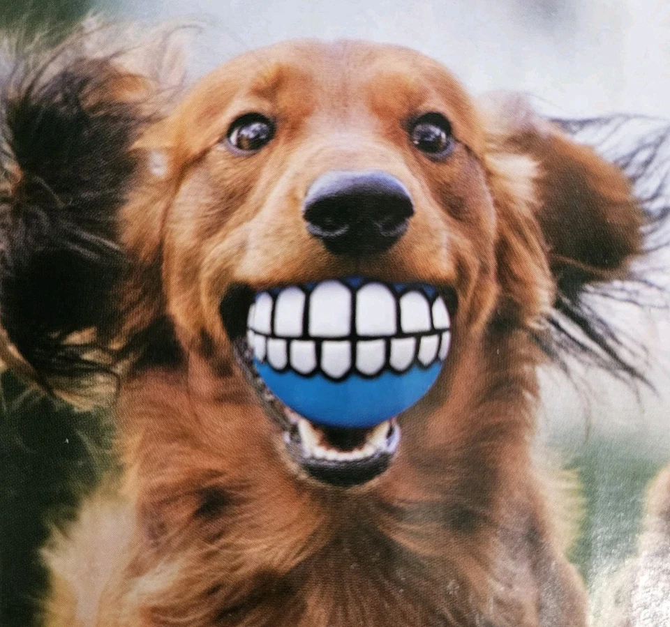 Juguete para perro Smile chirriante estreno encuentra mascotas pequeñas a grandes goma látex SUPERVISE Foto 1 de 4