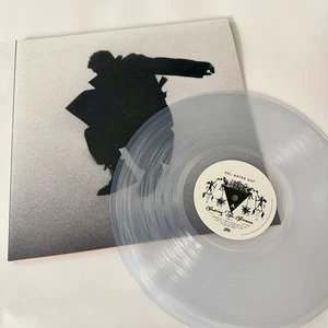 Del Water Gap CHASING THE CHIMERA Color Vinyl LP Record NEW Sealed - Picture 1 of 1