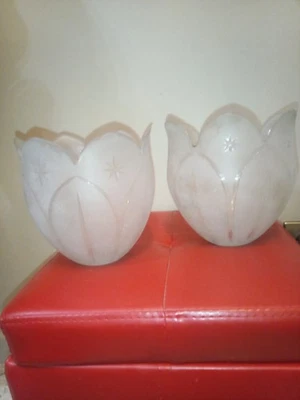 OIL LAMP SHADE 2 VERRESTULIPE GLOBE DE LAMPE A PÉTROLE CRISTAL  BACCARAT ? - Photo 1/4